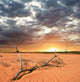dried up branch in a desert before a sunset Wall Mural
