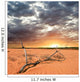 dried up branch in a desert before a sunset Wall Mural