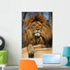 posiereder Lion Wall Mural
