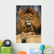 posiereder Lion Wall Mural