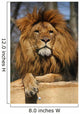 posiereder Lion Wall Mural