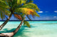 Tropical Paradise at Maldives Wall Mural