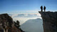 Chartreuse from Bauges Wall Decal