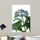 Dichroa Hydrangea Flower Wall Decal