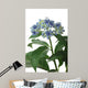 Dichroa Hydrangea Flower Wall Decal