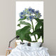 Dichroa Hydrangea Flower Wall Decal