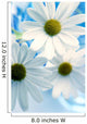 Daisies Wall Mural