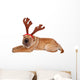 Sharpei Dog Weaing Antler Wall Mural