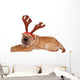 Sharpei Dog Weaing Antler Wall Mural