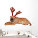 Sharpei Dog Weaing Antler Wall Mural
