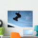 Sk8tr Air Wall Mural