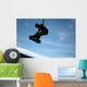 Sk8tr Air Wall Mural
