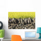 Dry Stone Wall Field Wall Decal Design 2