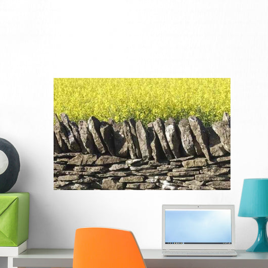 Dry Stone Wall Field Wall Decal Design 2