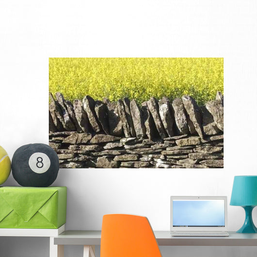 Dry Stone Wall Field Wall Decal Design 2