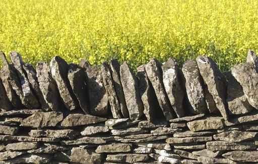 Dry Stone Wall Field Wall Decal Design 2