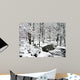 After the Winter Storm Wall Mural