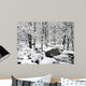 After the Winter Storm Wall Mural