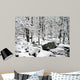 After the Winter Storm Wall Mural