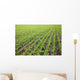 Field Lines Wall Decal Design 2