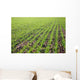 Field Lines Wall Decal Design 2