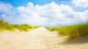 Idyliische summer landscape in the North Sea Wall Mural