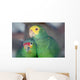 Two Parrots Wall Mural