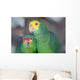Two Parrots Wall Mural