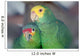 Two Parrots Wall Mural