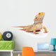 Bearded Dragon Wall Decal