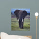 Elefant1126671