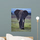 Elefant1126671