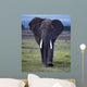 Elefant1126671