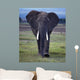 Elefant1126671