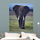Elefant1126671