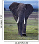 Elefant1126671