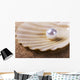 pearl on the seashell Wall Mural