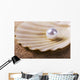 pearl on the seashell Wall Mural