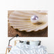 pearl on the seashell Wall Mural