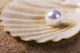 pearl on the seashell Wall Mural