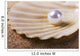 pearl on the seashell Wall Mural
