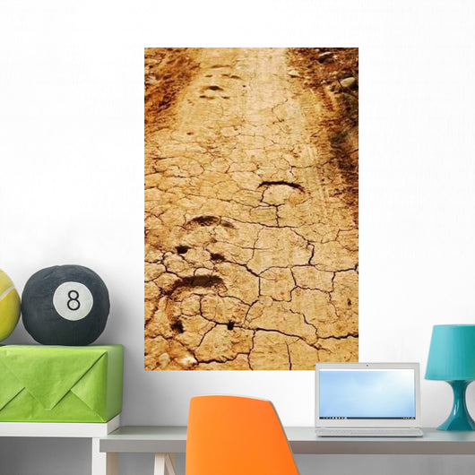 Horse Tracks Wall Decal