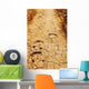Horse Tracks Wall Decal