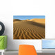 Windrippel Wall Decal Design 2