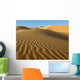 Windrippel Wall Mural