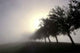 Strahlen Nebel Wall Decal