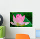 lotus blossom Wall Mural