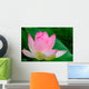 lotus blossom Wall Mural
