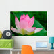lotus blossom Wall Mural