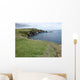 Lizard Point Wall Mural